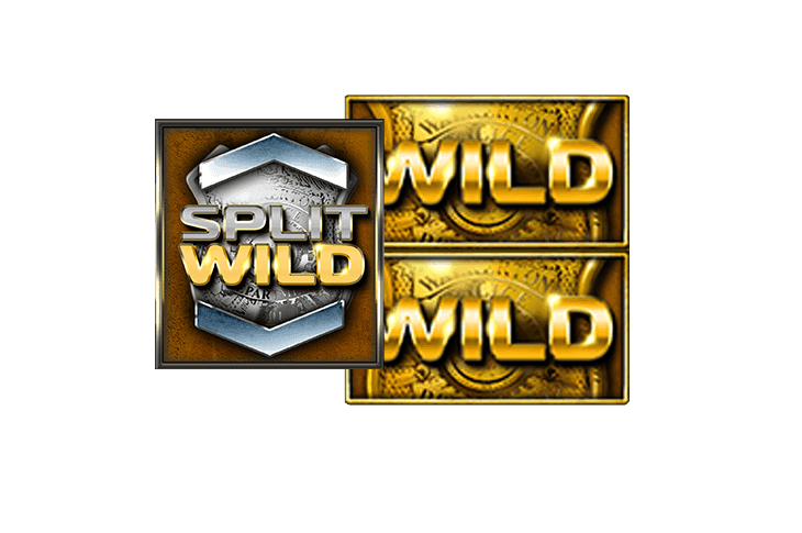 Split Wild image