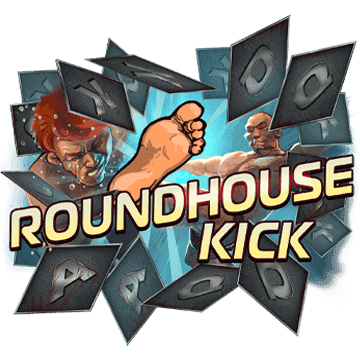 ROUNDHOUSE KICK image