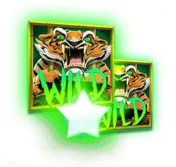 Star Spin image