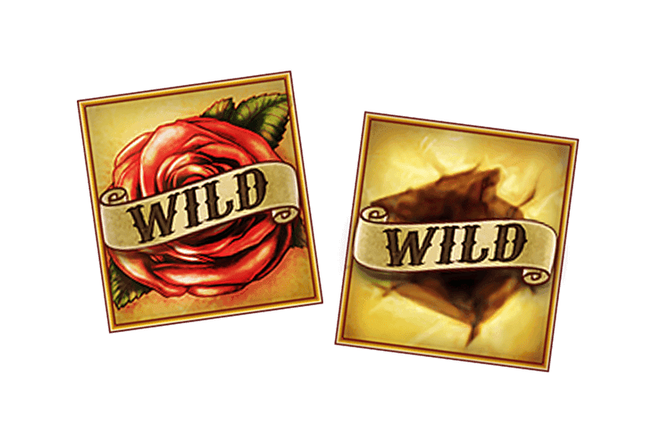 Wild image