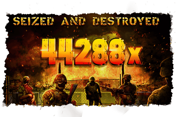 Seized and Destroyed  image