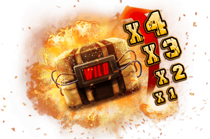 xBomb® Wild image
