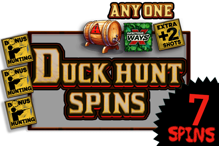 Duck Hunt Spins image