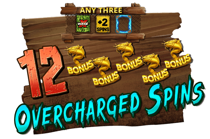 Overcharged Spins (Nolimit Bonus) image
